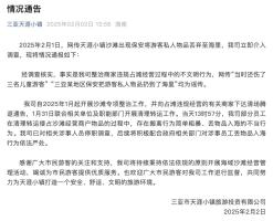 揭秘真相！三亚保安扔游客物品竟是谣言？深度剖析事件内幕！