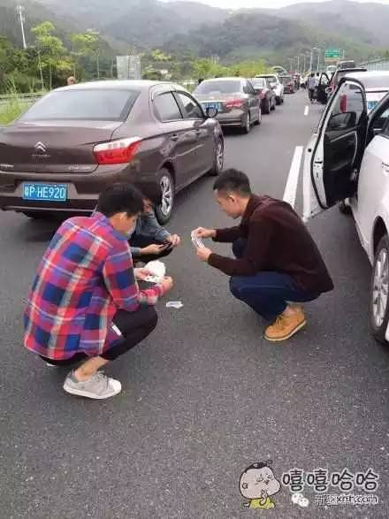 紧急关注遇堵车下车后神秘失踪，背后的真相令人震惊！